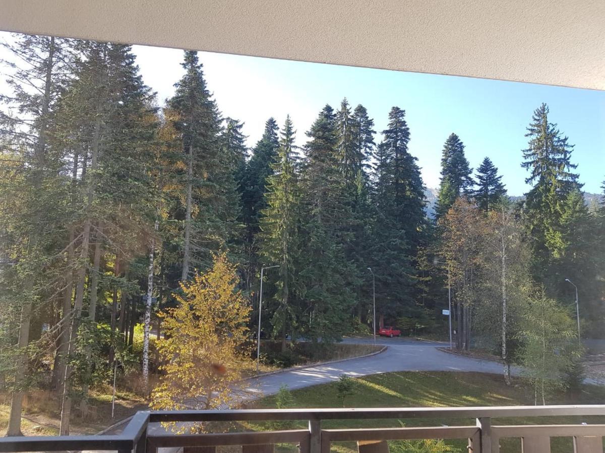 Apartments In Borovets Gardens Bagian luar foto